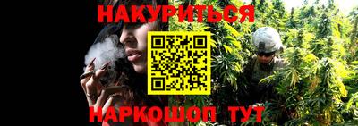 эйфоретик Краснодар