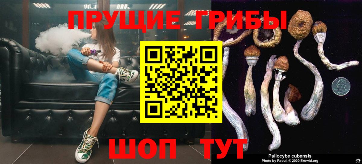 даркнет сайт  Псилоцибиновые грибы Psilocybe  Вход с VPN  Семилуки 